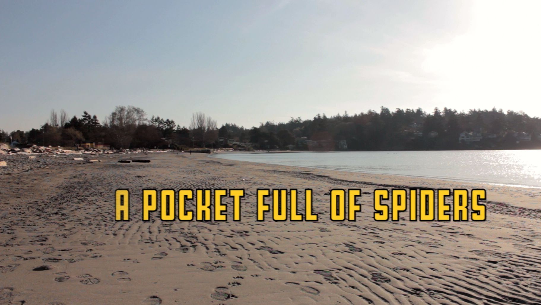 A Pocket Full of Spiders